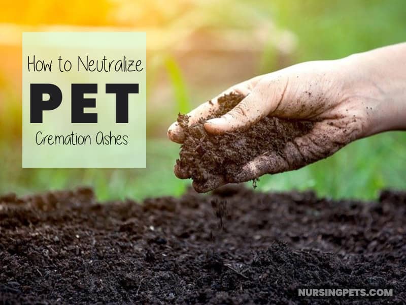 How to Neutralize Pet Cremation Ashes