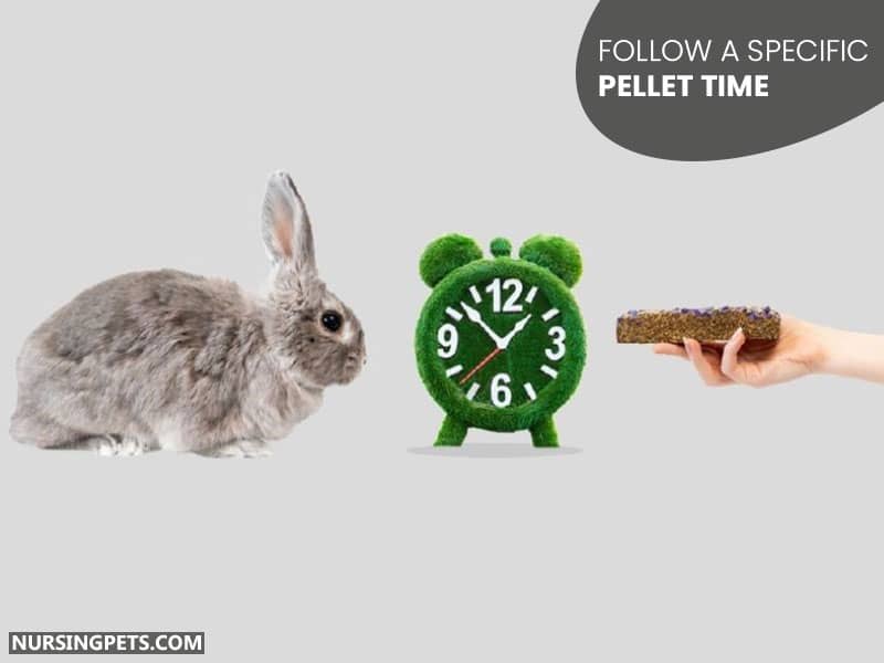 Follow a Specific Pellet Time