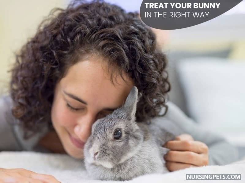 Treat Your Bunny in the Right Way