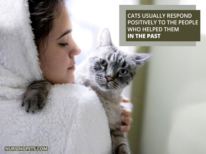 Cats usually respond positively to the people who helped them in the past