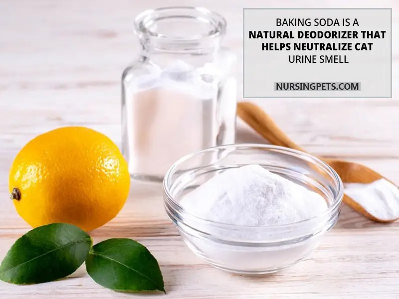 Baking soda is a natural deodorizer that helps neutralize cat urine smell