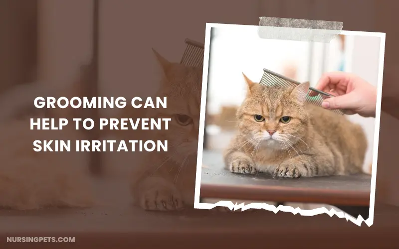 Grooming can help to prevent skin irritation